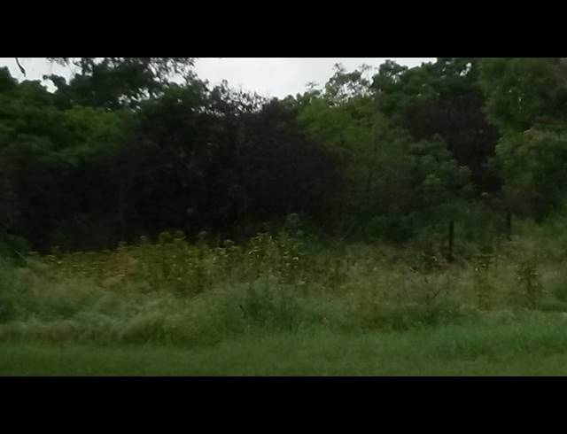 6HA FARM FOR SALE IN NELSPRUIT RURAL